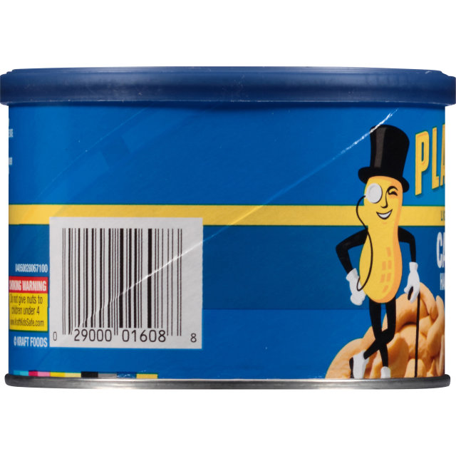 PLANTERS® Lightly Salted Halves & Pieces Cashews 8 oz can