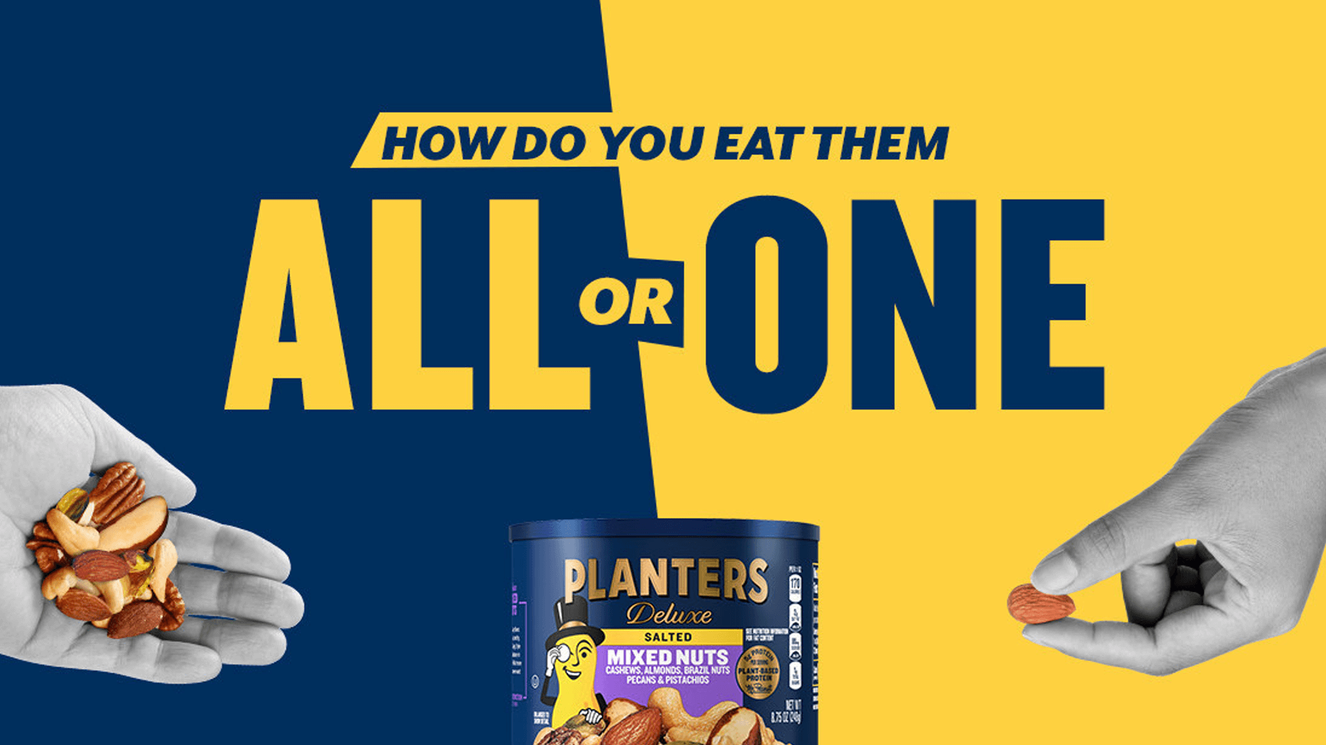 All or One promotional image