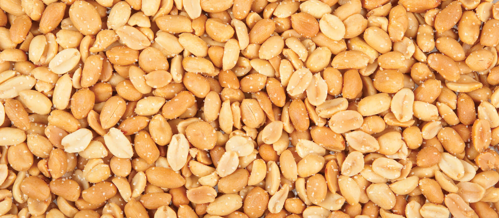 Sea salt and vinegar peanuts