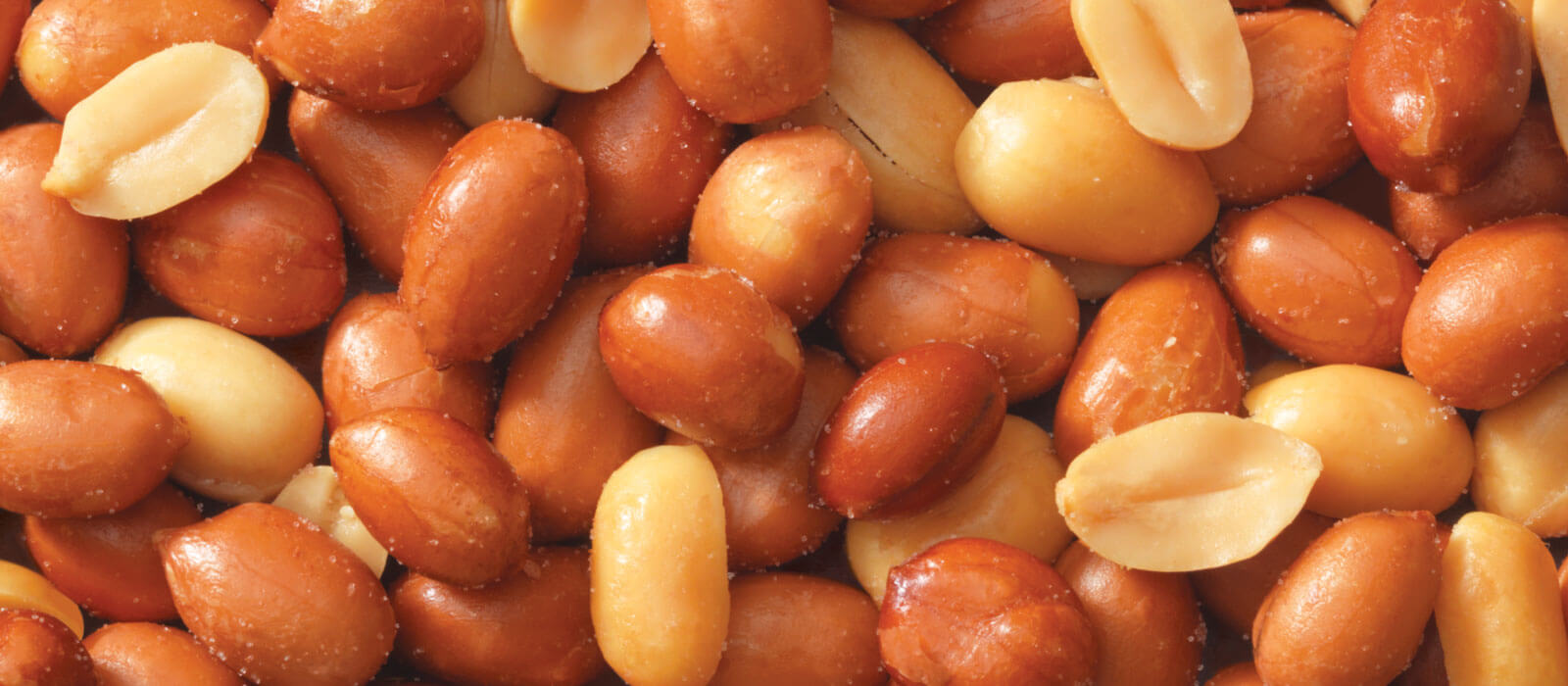Close up of spanish redskin peanuts